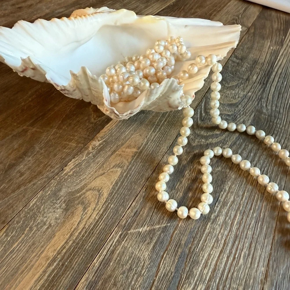 Vintage Large Bear Paw Clam Shell